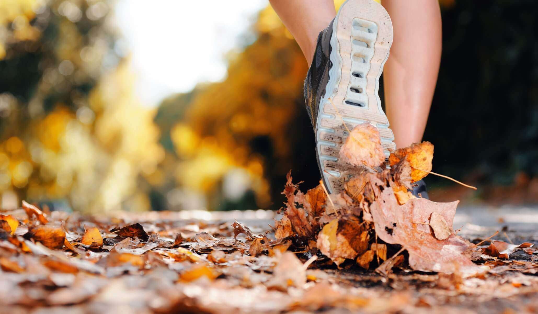 Closeup of a person walking on a trail covered in fallen leaves.