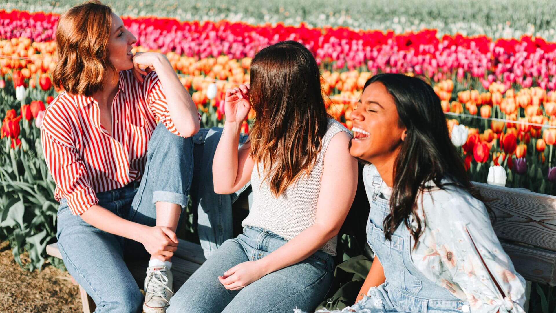 Three women sitting on a bench laughing in front of a large field of tulips.